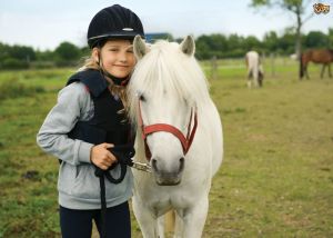 fun-confidence-building-tips-for-young-riders-5256cdc8d12d6